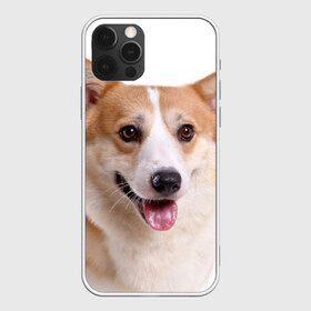Чехол для iPhone 12 Pro Max с принтом Пемброк-вельш-корги в Петрозаводске, Силикон |  | Тематика изображения на принте: животное | пемброк вельш корги | порода | собака