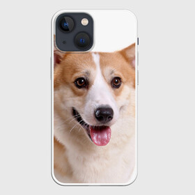 Чехол для iPhone 13 mini с принтом Пемброк вельш корги в Петрозаводске,  |  | животное | пемброк вельш корги | порода | собака