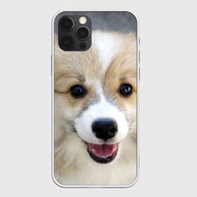 Чехол для iPhone 12 Pro Max с принтом Пемброк-вельш-корги собака п в Петрозаводске, Силикон |  | Тематика изображения на принте: животное | пемброк вельш корги | порода | собака