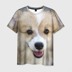 Мужская футболка 3D с принтом Пемброк-вельш-корги, собака, п в Петрозаводске, 100% полиэфир | прямой крой, круглый вырез горловины, длина до линии бедер | животное | пемброк вельш корги | порода | собака