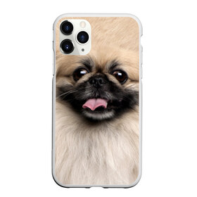Чехол для iPhone 11 Pro Max матовый с принтом Пекинес в Петрозаводске, Силикон |  | животное | пекинес | порода | собака