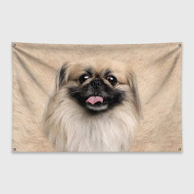 Флаг-баннер с принтом Пекинес в Петрозаводске, 100% полиэстер | размер 67 х 109 см, плотность ткани — 95 г/м2; по краям флага есть четыре люверса для крепления | животное | пекинес | порода | собака