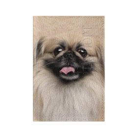 Обложка для паспорта матовая кожа с принтом Пекинес в Петрозаводске, натуральная матовая кожа | размер 19,3 х 13,7 см; прозрачные пластиковые крепления | животное | пекинес | порода | собака