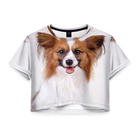 Женская футболка 3D укороченная с принтом Папийон в Петрозаводске, 100% полиэстер | круглая горловина, длина футболки до линии талии, рукава с отворотами | животное | папийон | порода | собака