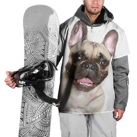 Накидка на куртку 3D с принтом Французский бульдог в Петрозаводске, 100% полиэстер |  | Тематика изображения на принте: животное | порода | собака | французский бульдог