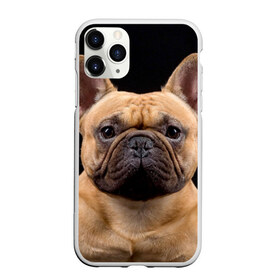 Чехол для iPhone 11 Pro Max матовый с принтом Французский бульдог в Петрозаводске, Силикон |  | животное | порода | собака | французский бульдог