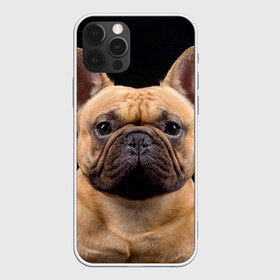 Чехол для iPhone 12 Pro Max с принтом Французский бульдог в Петрозаводске, Силикон |  | Тематика изображения на принте: животное | порода | собака | французский бульдог