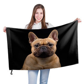 Флаг 3D с принтом Французский бульдог в Петрозаводске, 100% полиэстер | плотность ткани — 95 г/м2, размер — 67 х 109 см. Принт наносится с одной стороны | животное | порода | собака | французский бульдог