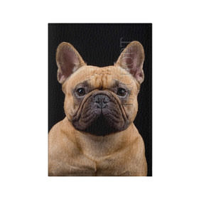 Обложка для паспорта матовая кожа с принтом Французский бульдог в Петрозаводске, натуральная матовая кожа | размер 19,3 х 13,7 см; прозрачные пластиковые крепления | животное | порода | собака | французский бульдог