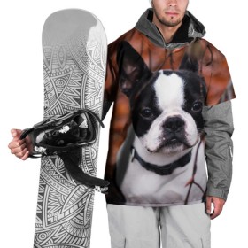 Накидка на куртку 3D с принтом Бостон Терьер в Петрозаводске, 100% полиэстер |  | Тематика изображения на принте: животное | порода | собака | французский бульдог
