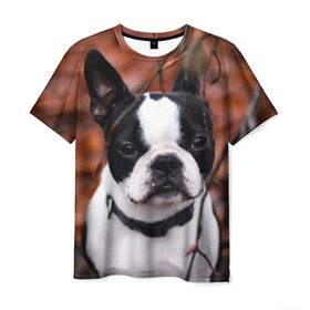 Мужская футболка 3D с принтом Бостон Терьер в Петрозаводске, 100% полиэфир | прямой крой, круглый вырез горловины, длина до линии бедер | животное | порода | собака | французский бульдог