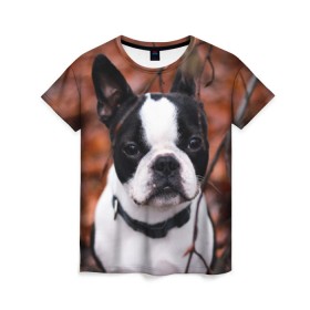Женская футболка 3D с принтом Бостон Терьер в Петрозаводске, 100% полиэфир ( синтетическое хлопкоподобное полотно) | прямой крой, круглый вырез горловины, длина до линии бедер | Тематика изображения на принте: животное | порода | собака | французский бульдог