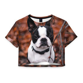 Женская футболка 3D укороченная с принтом Бостон Терьер в Петрозаводске, 100% полиэстер | круглая горловина, длина футболки до линии талии, рукава с отворотами | Тематика изображения на принте: животное | порода | собака | французский бульдог
