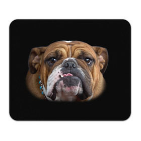 Коврик прямоугольный с принтом Французский бульдог в Петрозаводске, натуральный каучук | размер 230 х 185 мм; запечатка лицевой стороны | Тематика изображения на принте: животное | порода | собака | французский бульдог