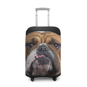 Чехол для чемодана 3D с принтом Французский бульдог в Петрозаводске, 86% полиэфир, 14% спандекс | двустороннее нанесение принта, прорези для ручек и колес | животное | порода | собака | французский бульдог