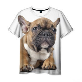 Мужская футболка 3D с принтом Французский бульдог в Петрозаводске, 100% полиэфир | прямой крой, круглый вырез горловины, длина до линии бедер | животное | порода | собака | французский бульдог