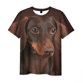 Мужская футболка 3D с принтом Такса в Петрозаводске, 100% полиэфир | прямой крой, круглый вырез горловины, длина до линии бедер | животное | порода | собака | такса