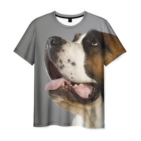 Мужская футболка 3D с принтом Сенбернар в Петрозаводске, 100% полиэфир | прямой крой, круглый вырез горловины, длина до линии бедер | животное | порода | сенбернар | собака