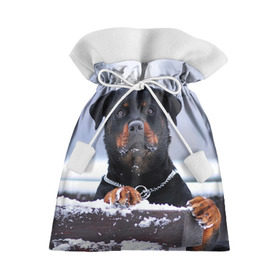 Подарочный 3D мешок с принтом Ротвейлер в Петрозаводске, 100% полиэстер | Размер: 29*39 см | животное | порода | ротвейлер | собака