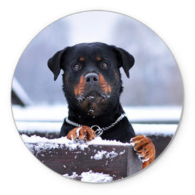 Коврик круглый с принтом Ротвейлер в Петрозаводске, резина и полиэстер | круглая форма, изображение наносится на всю лицевую часть | животное | порода | ротвейлер | собака