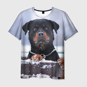 Мужская футболка 3D с принтом Ротвейлер в Петрозаводске, 100% полиэфир | прямой крой, круглый вырез горловины, длина до линии бедер | животное | порода | ротвейлер | собака