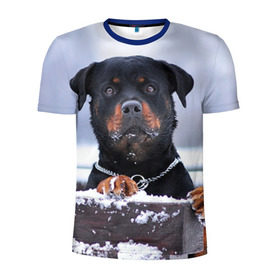 Мужская футболка 3D спортивная с принтом Ротвейлер в Петрозаводске, 100% полиэстер с улучшенными характеристиками | приталенный силуэт, круглая горловина, широкие плечи, сужается к линии бедра | Тематика изображения на принте: животное | порода | ротвейлер | собака