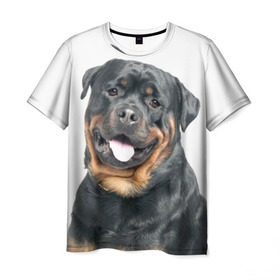 Мужская футболка 3D с принтом Ротвейлер в Петрозаводске, 100% полиэфир | прямой крой, круглый вырез горловины, длина до линии бедер | Тематика изображения на принте: животное | порода | ротвейлер | собака
