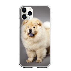Чехол для iPhone 11 Pro матовый с принтом Чау-чау в Петрозаводске, Силикон |  | Тематика изображения на принте: животное | порода | собака | чау чау