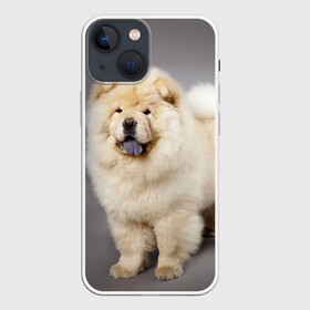 Чехол для iPhone 13 mini с принтом Чау чау в Петрозаводске,  |  | Тематика изображения на принте: животное | порода | собака | чау чау