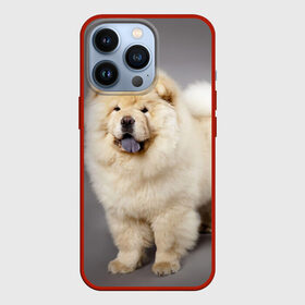 Чехол для iPhone 13 Pro с принтом Чау чау в Петрозаводске,  |  | Тематика изображения на принте: животное | порода | собака | чау чау