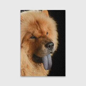 Обложка для паспорта матовая кожа с принтом Чау-чау в Петрозаводске, натуральная матовая кожа | размер 19,3 х 13,7 см; прозрачные пластиковые крепления | животное | порода | собака | чау чау