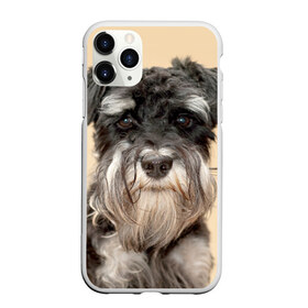 Чехол для iPhone 11 Pro матовый с принтом Цвергшнауцер в Петрозаводске, Силикон |  | животное | порода | собака | цвергшнауцер