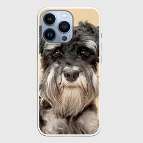 Чехол для iPhone 13 Pro с принтом Цвергшнауцер в Петрозаводске,  |  | Тематика изображения на принте: животное | порода | собака | цвергшнауцер