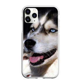 Чехол для iPhone 11 Pro матовый с принтом Хаски в Петрозаводске, Силикон |  | животное | порода | собака | хаски