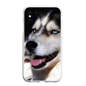 Чехол для iPhone XS Max матовый с принтом Хаски в Петрозаводске, Силикон | Область печати: задняя сторона чехла, без боковых панелей | животное | порода | собака | хаски