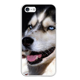 Чехол для iPhone 5/5S матовый с принтом Хаски в Петрозаводске, Силикон | Область печати: задняя сторона чехла, без боковых панелей | животное | порода | собака | хаски