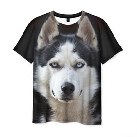 Мужская футболка 3D с принтом Хаски в Петрозаводске, 100% полиэфир | прямой крой, круглый вырез горловины, длина до линии бедер | бандит | животное | порода | собака | хаски | хаски бандит