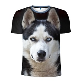 Мужская футболка 3D спортивная с принтом Хаски в Петрозаводске, 100% полиэстер с улучшенными характеристиками | приталенный силуэт, круглая горловина, широкие плечи, сужается к линии бедра | бандит | животное | порода | собака | хаски | хаски бандит