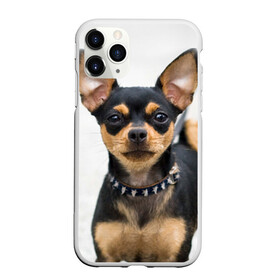 Чехол для iPhone 11 Pro Max матовый с принтом Чихуахуа в Петрозаводске, Силикон |  | Тематика изображения на принте: животное | порода | собака | чихуахуа