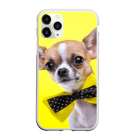 Чехол для iPhone 11 Pro матовый с принтом Чихуахуа в Петрозаводске, Силикон |  | Тематика изображения на принте: животное | порода | собака | чихуахуа