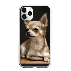 Чехол для iPhone 11 Pro матовый с принтом Чихуахуа в Петрозаводске, Силикон |  | Тематика изображения на принте: животное | порода | собака | чихуахуа