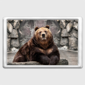 Магнит 45*70 с принтом Русский медведь в Петрозаводске, Пластик | Размер: 78*52 мм; Размер печати: 70*45 | медведь | россия | русский | русский медведь