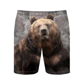 Мужские шорты 3D спортивные с принтом Русский медведь в Петрозаводске,  |  | Тематика изображения на принте: медведь | россия | русский | русский медведь
