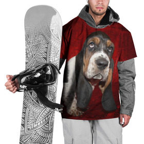 Накидка на куртку 3D с принтом Бассет-хаунд в Петрозаводске, 100% полиэстер |  | бархат | бассет хаунд | взгляд | домашнее | животное | порода | собака | уши