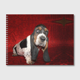 Альбом для рисования с принтом Бассет-хаунд в Петрозаводске, 100% бумага
 | матовая бумага, плотность 200 мг. | Тематика изображения на принте: бархат | бассет хаунд | взгляд | домашнее | животное | порода | собака | уши