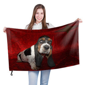 Флаг 3D с принтом Бассет-хаунд в Петрозаводске, 100% полиэстер | плотность ткани — 95 г/м2, размер — 67 х 109 см. Принт наносится с одной стороны | бархат | бассет хаунд | взгляд | домашнее | животное | порода | собака | уши