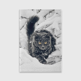 Обложка для паспорта матовая кожа с принтом Кот в снегу в Петрозаводске, натуральная матовая кожа | размер 19,3 х 13,7 см; прозрачные пластиковые крепления | Тематика изображения на принте: ветки | дикий | домашнее | животное | зима | кот | котэ | кошка | снег | сугробы