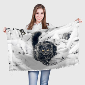 Флаг 3D с принтом Кот в снегу в Петрозаводске, 100% полиэстер | плотность ткани — 95 г/м2, размер — 67 х 109 см. Принт наносится с одной стороны | ветки | дикий | домашнее | животное | зима | кот | котэ | кошка | снег | сугробы