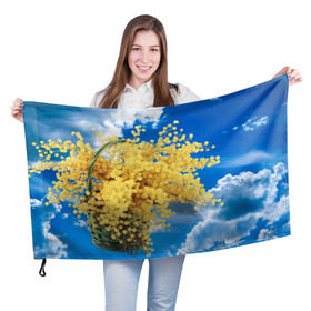 Флаг 3D с принтом Мимозы в Петрозаводске, 100% полиэстер | плотность ткани — 95 г/м2, размер — 67 х 109 см. Принт наносится с одной стороны | Тематика изображения на принте: 8 марта | весна | мимозы | небо | облака | цветы