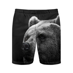 Мужские шорты 3D спортивные с принтом Медведь в Петрозаводске,  |  | бурый | дикий | животное | медведь | россия | символ | тайги | фото | хищник | хозяин | черно белое